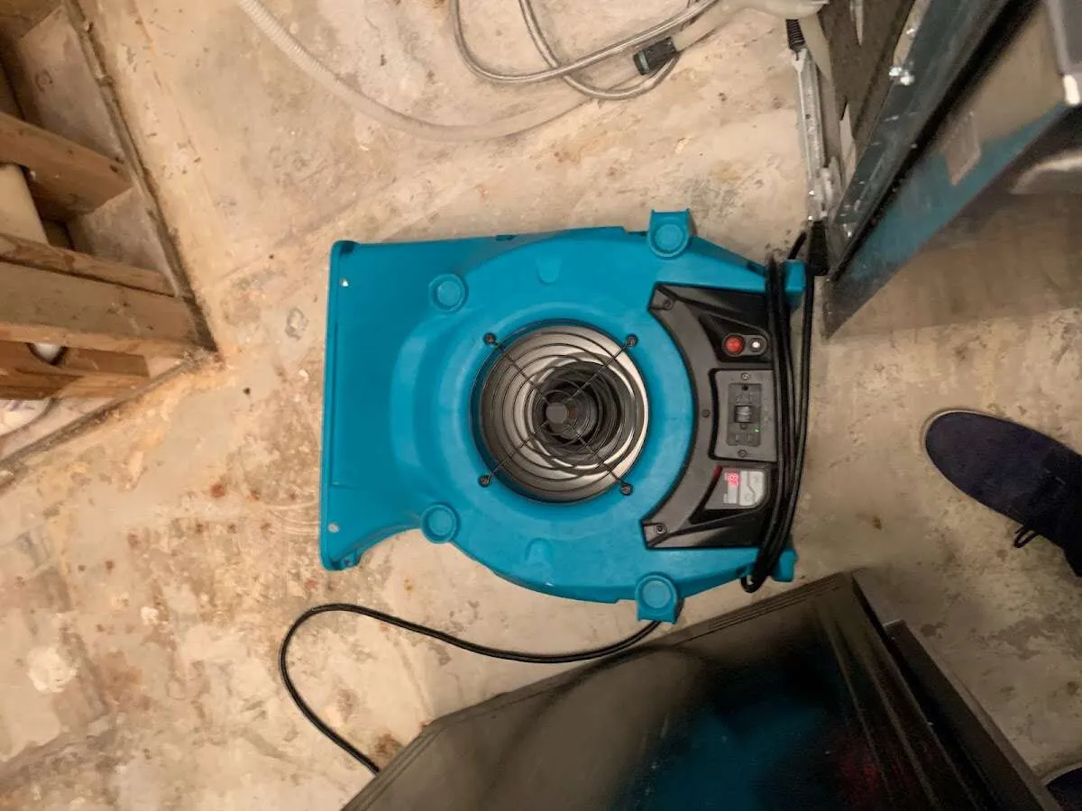 Air mover drying equipment for Mold Remediation & Removal in Druid Hills